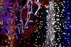 Luces de Navidad por alrom, en Flickr